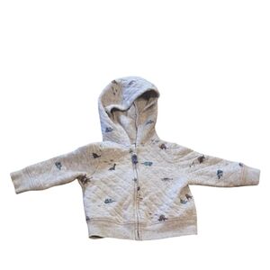 Carter's Gray Dinosaur Hoodie for Kids